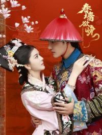 ��ǽ����